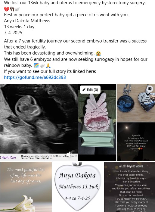 Wishing for Baby Matthews - Surrogacy Fund